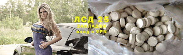 индика Беломорск