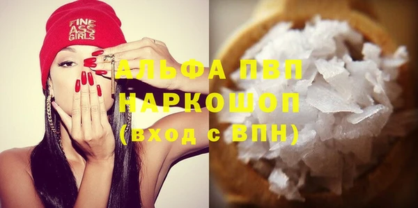 индика Беломорск