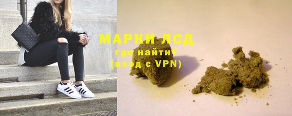 индика Беломорск