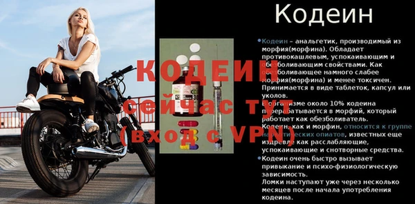 индика Беломорск