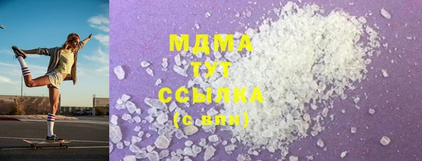 индика Беломорск