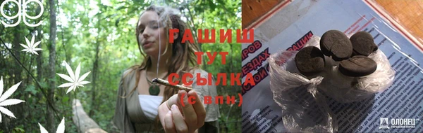 индика Беломорск