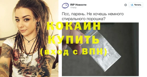 индика Беломорск