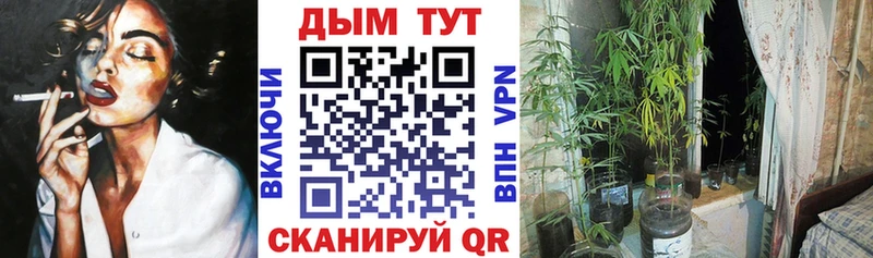 МАРИХУАНА OG Kush  где продают наркотики  Благодарный 
